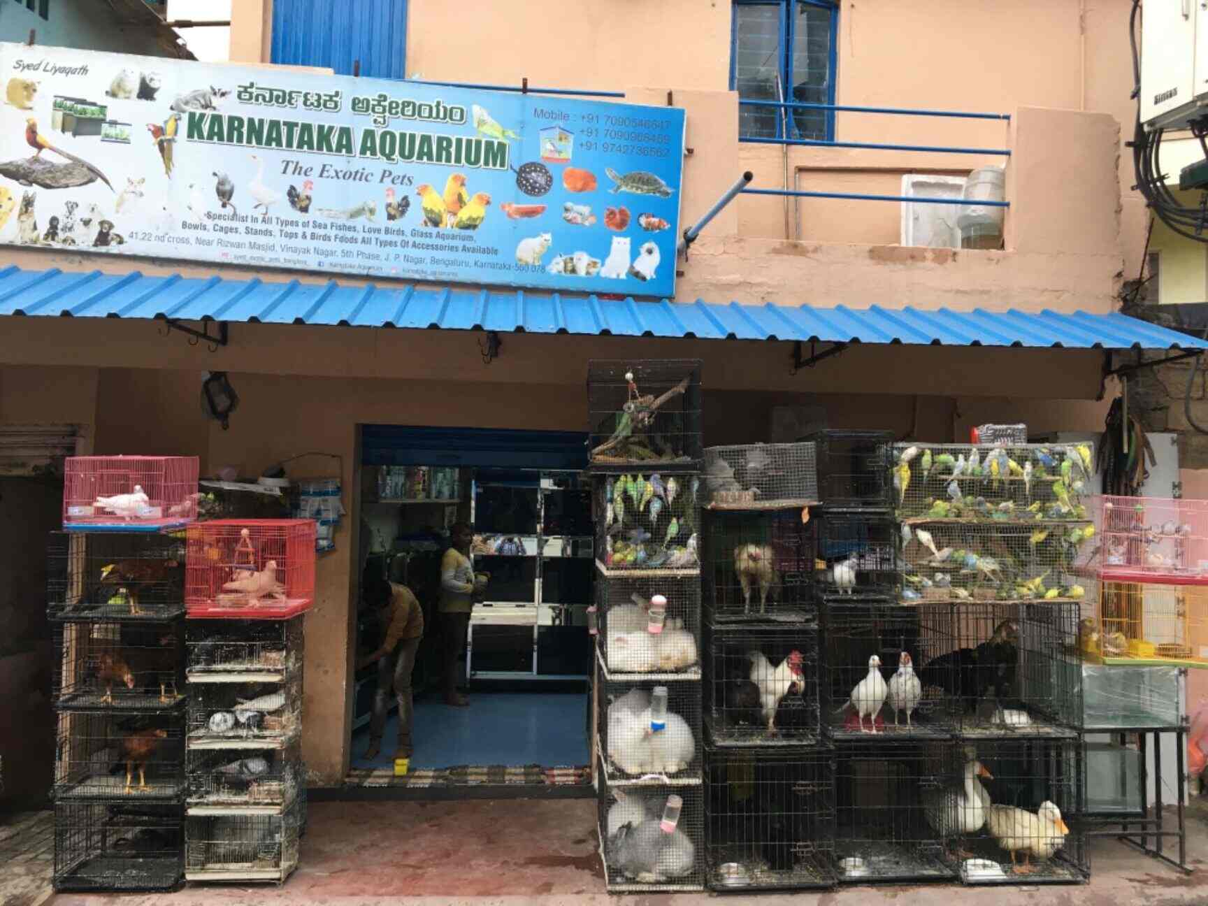 Aquarium Shop Bengaluru atelieryuwa.ciao.jp