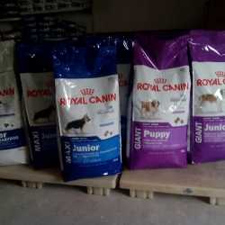 royal canin distributors
