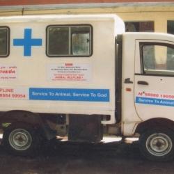 Shree Jivrakshakdal Animal Helpline Danapith Animal Welfare Organisations In Bhavnagar Justdial