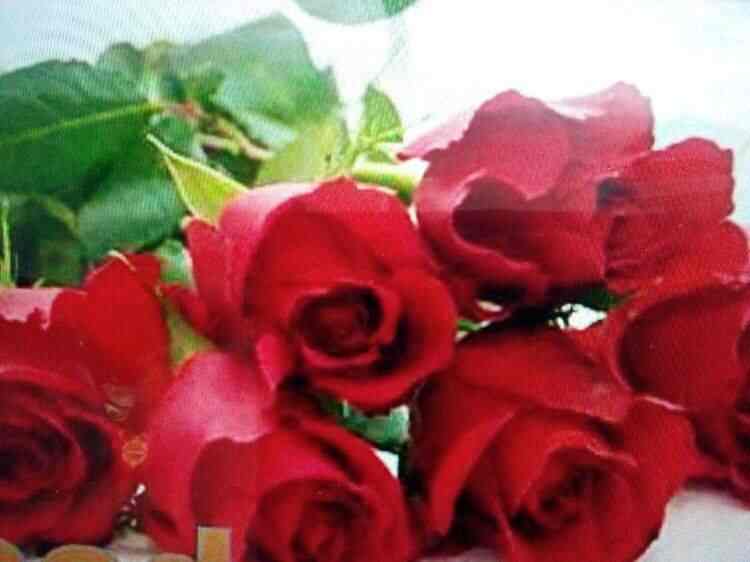 Modern Flower Bouquet Photos Bhavnagar Pictures Images Modern Flower Bouquet Photos Bhavnagar Florists