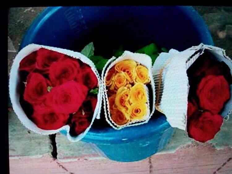 Modern Flower Bouquet Photos Bhavnagar Pictures Images Modern Flower Bouquet Photos Bhavnagar Florists