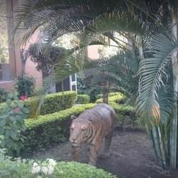 Madhya Pradesh State Tourism Development Corporation Ltd Head Office Tt Nagar Government Organisations In Bhopal Justdial The corporation is running hotels, restaurants at various places for tourists, besides providing transport facilities.