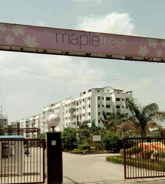 Maple Tree Gandhinagar Residential Buildings In Bhopal Justdial