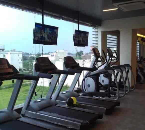 Gold Gym Interior Photo daniellaaduarteparamore