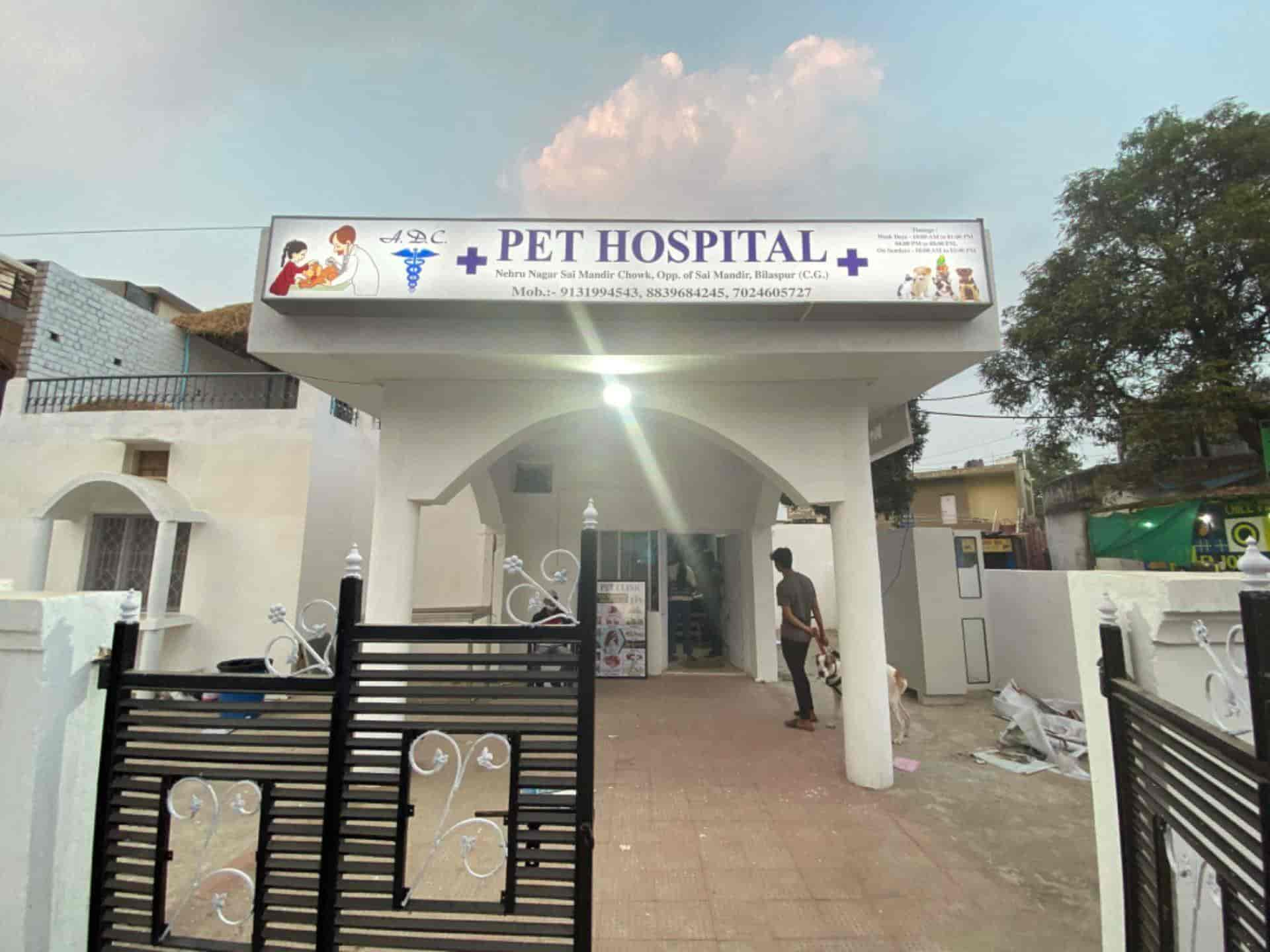 Government Nearest Animal Hospital Near Me Government