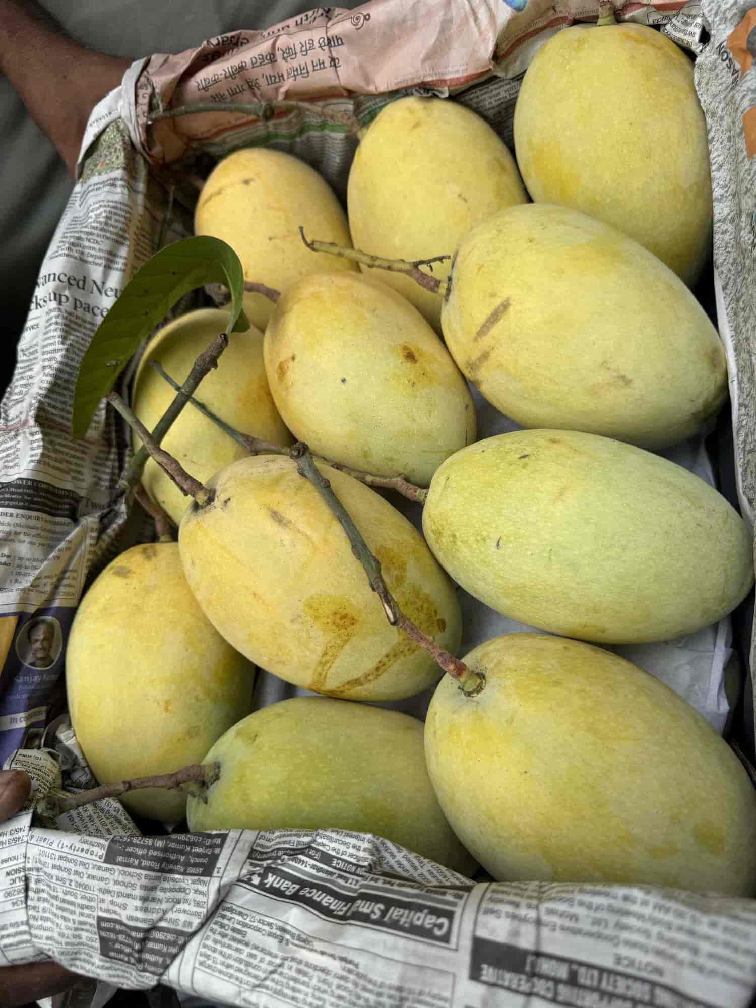 New Fruit Paradise in Panchkula Sector 25,Panchkula - Best Fruit