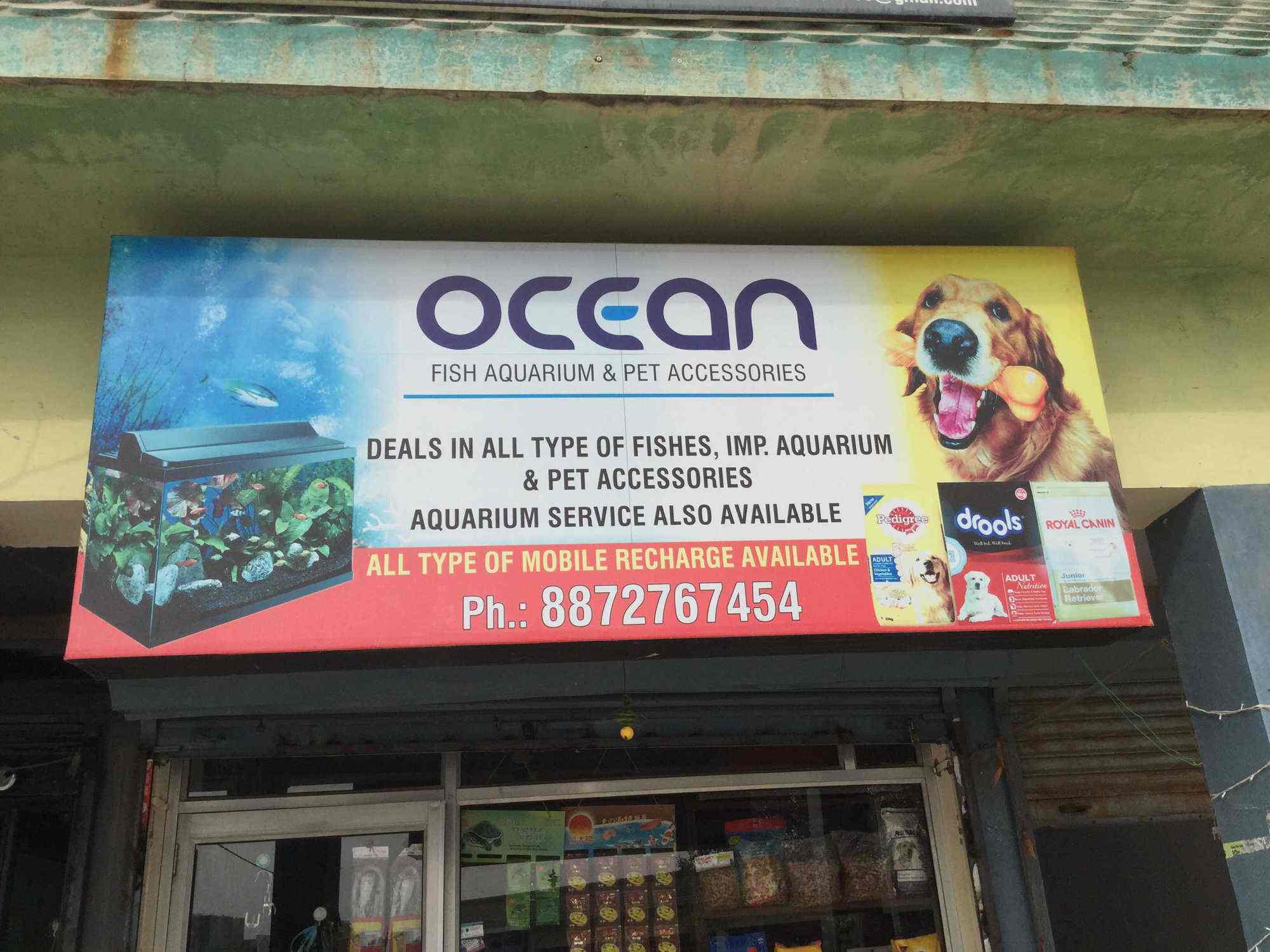 nearest pet fish shop