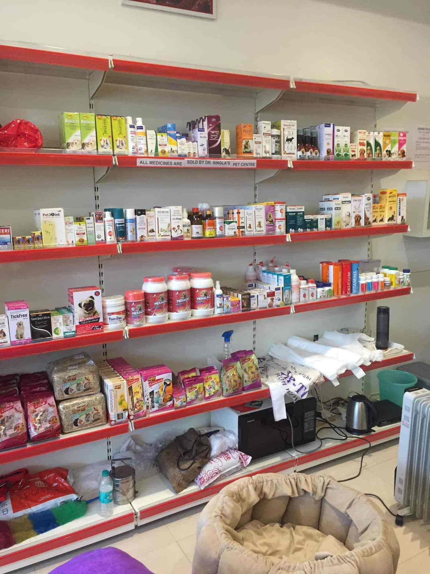 Pets World Panchkula Sector 14 Pet Shops In Chandigarh Justdial