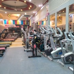 Max Sports Sector 34a Fitness Equipment Dealers In Chandigarh Justdial