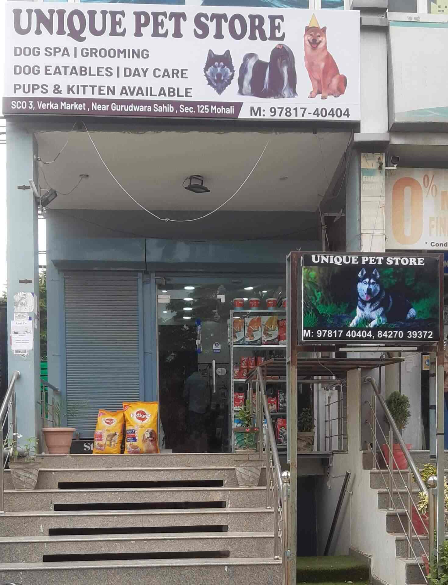 the nearest pet store