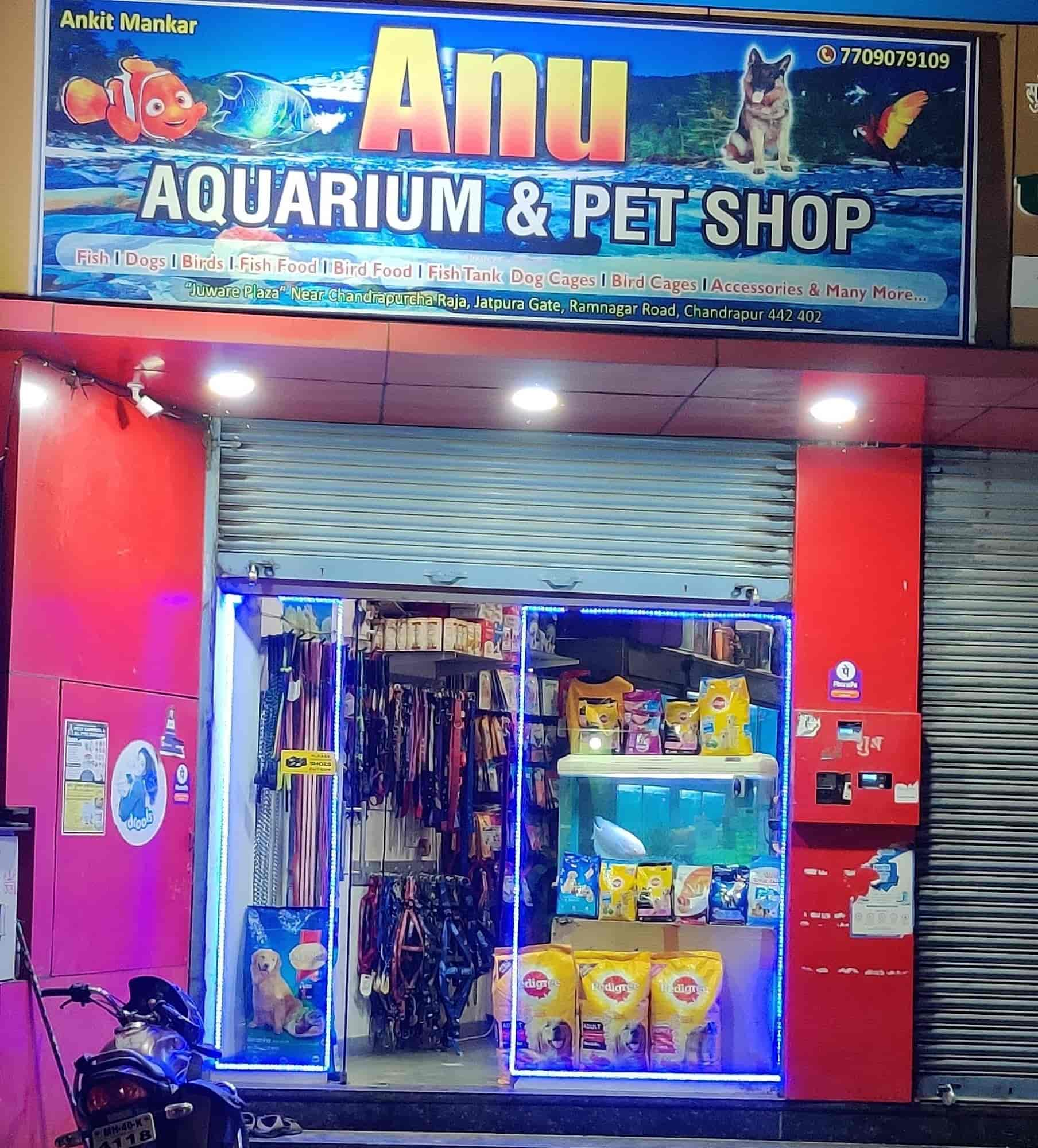 Animal stores outlet around me