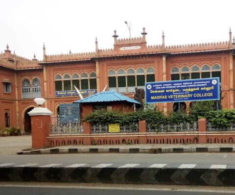 Tamilnadu Veterinary Animal Sciences University Vepery Colleges In Chennai Justdial