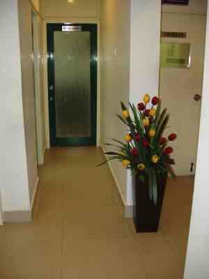 White Cliffs Hair Solutions Reviews Alwarpet Chennai 59