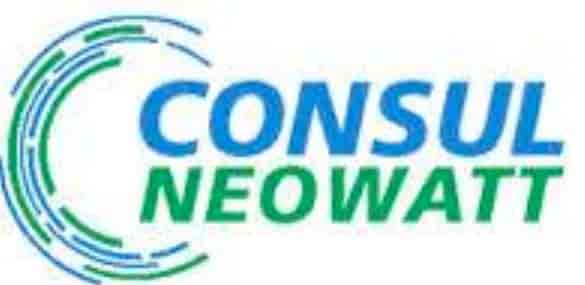 Image result for Consul Neowatt Power solutions