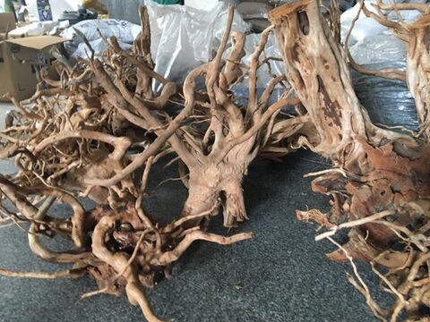 Catalogue Aquasstar Sun India In Kolathur Chennai Justdial