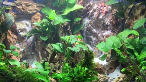 Catalogue Aquasstar Sun India In Kolathur Chennai Justdial