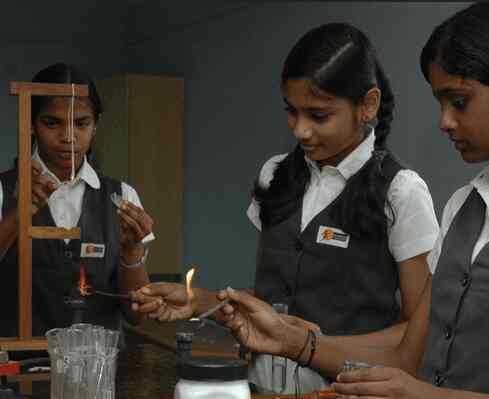 student day essay video