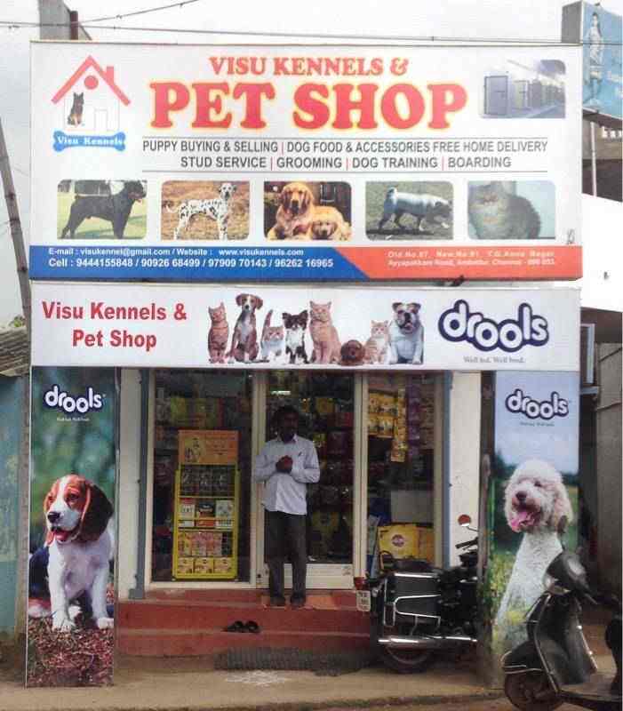rajapalayam dog pet shop