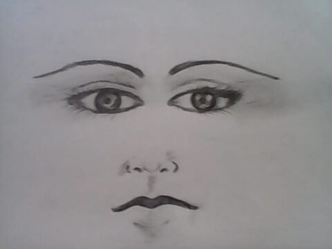 Colors Drawing Academy Sembakkam Drawing Classes In Chennai