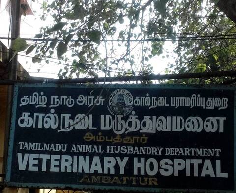 Tamil Nadu Animal Husbandry Department And Veterinary Hospital Ambattur Veterinary Hospitals In Chennai Justdial