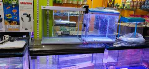 aqua pet shop near me