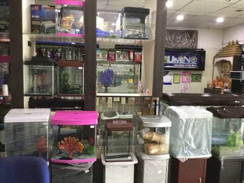 umino aquarium & pet shop