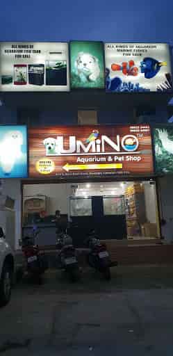 umino aquarium & pet shop