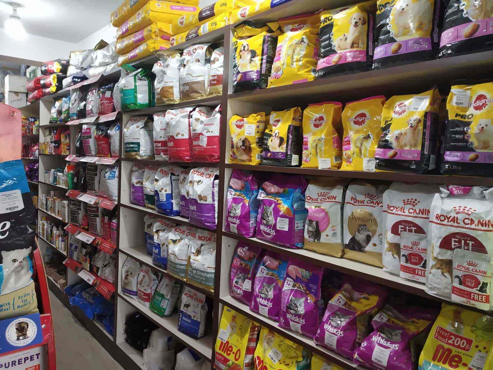 umino aquarium & pet shop