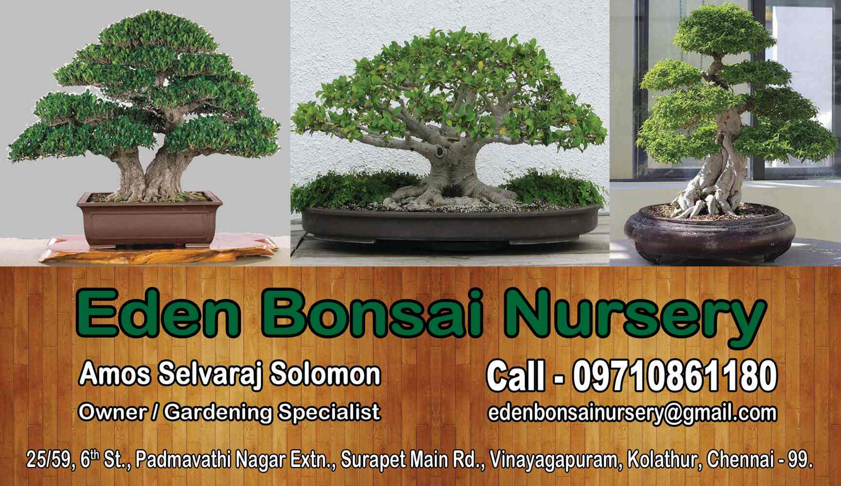 Eden Bonsai Nursery, Vinayagapuram - Plant Nurseries in Chennai - Justdial Eden Bonsai Nursery, Vinayagapuram - Plant Nurseries in Chennai - Justdial