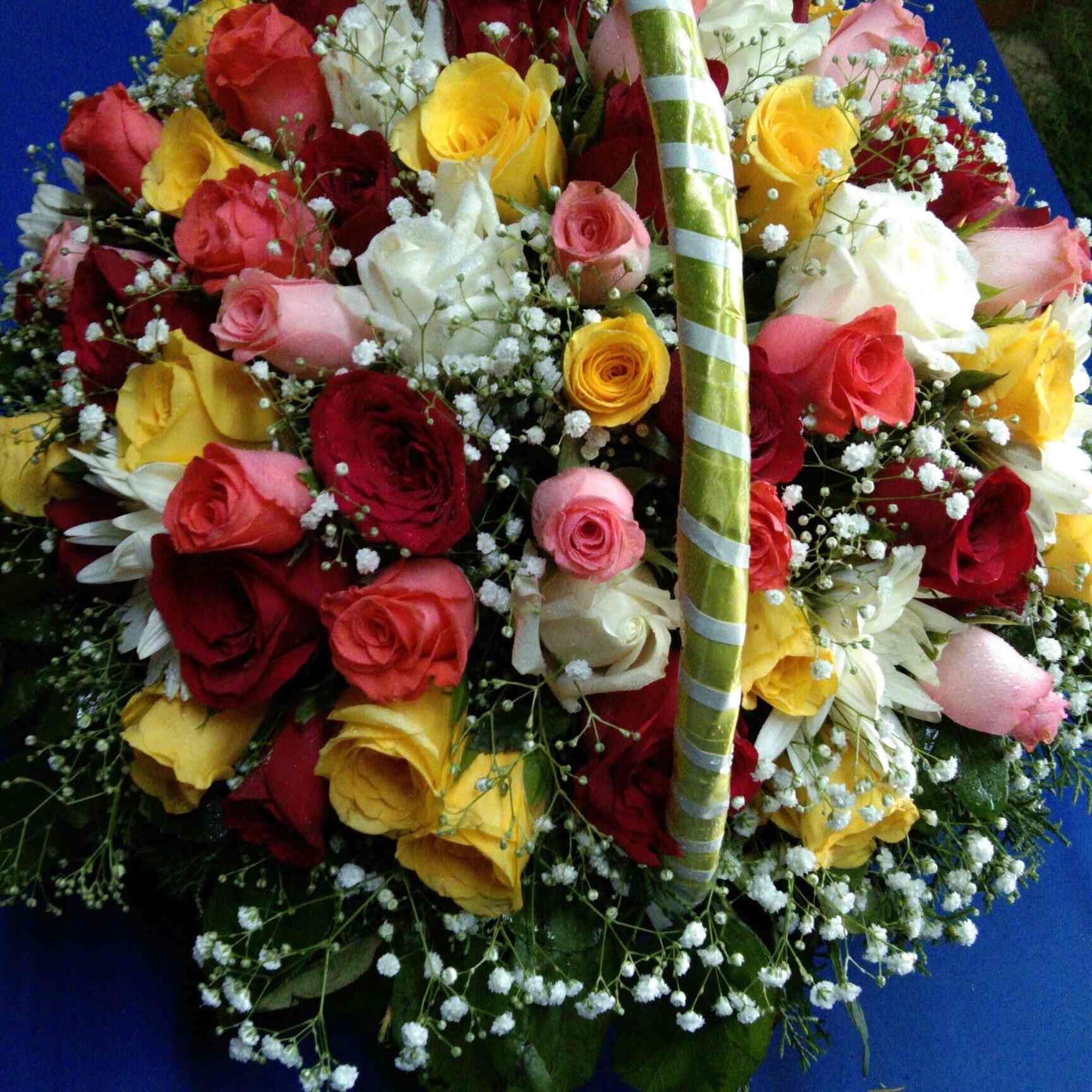 Top 145+ new royal florist & decorator vova.edu.vn