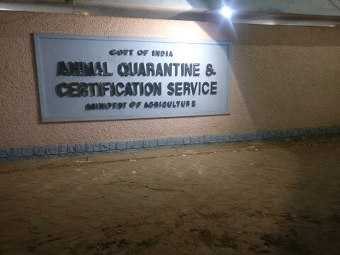 Animal Quarantine Certification Service Station Pallikaranai Government Organisations In Chennai Justdial