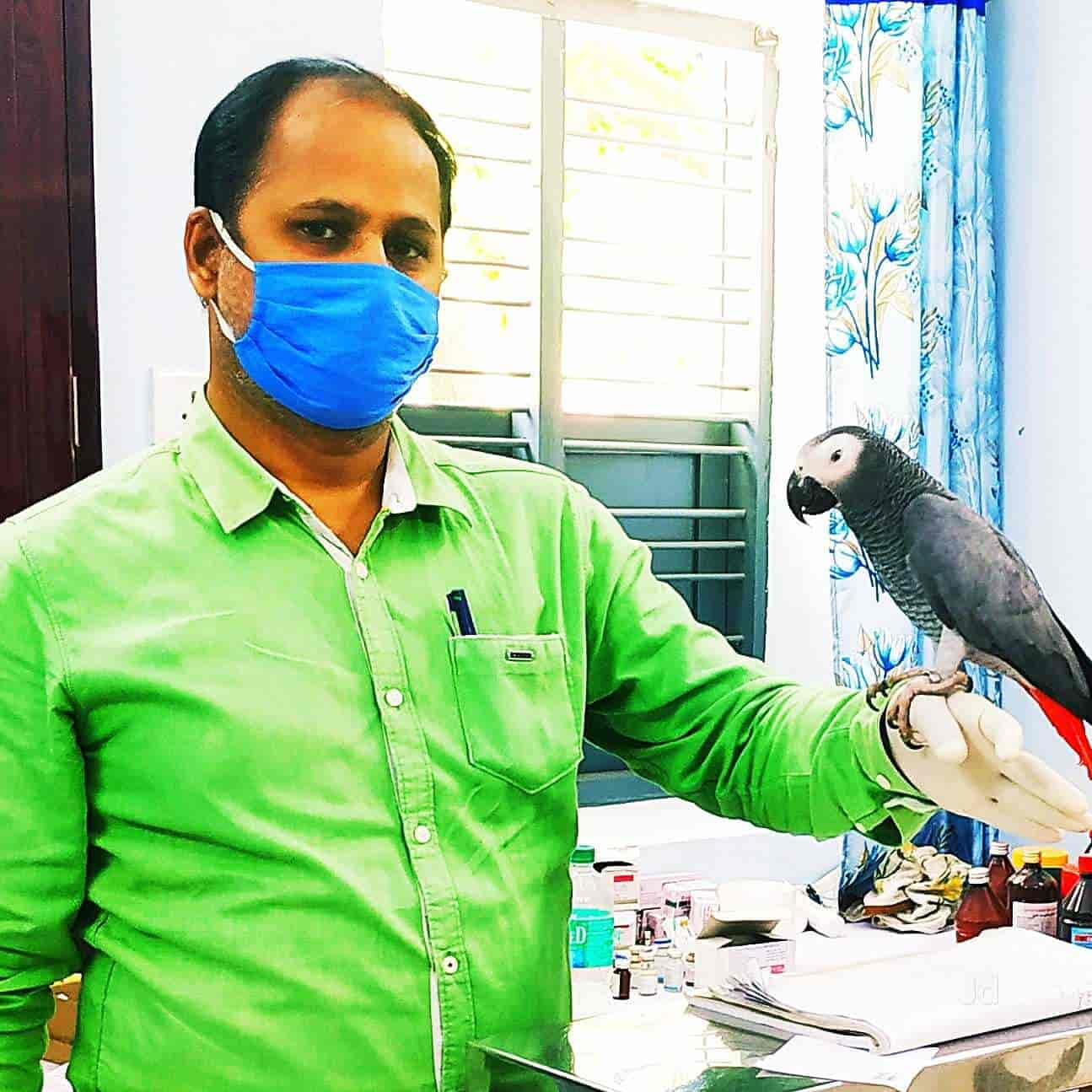 Veterinary Clinic Doctor For Parrot Near Me Birds And Exotics Vet