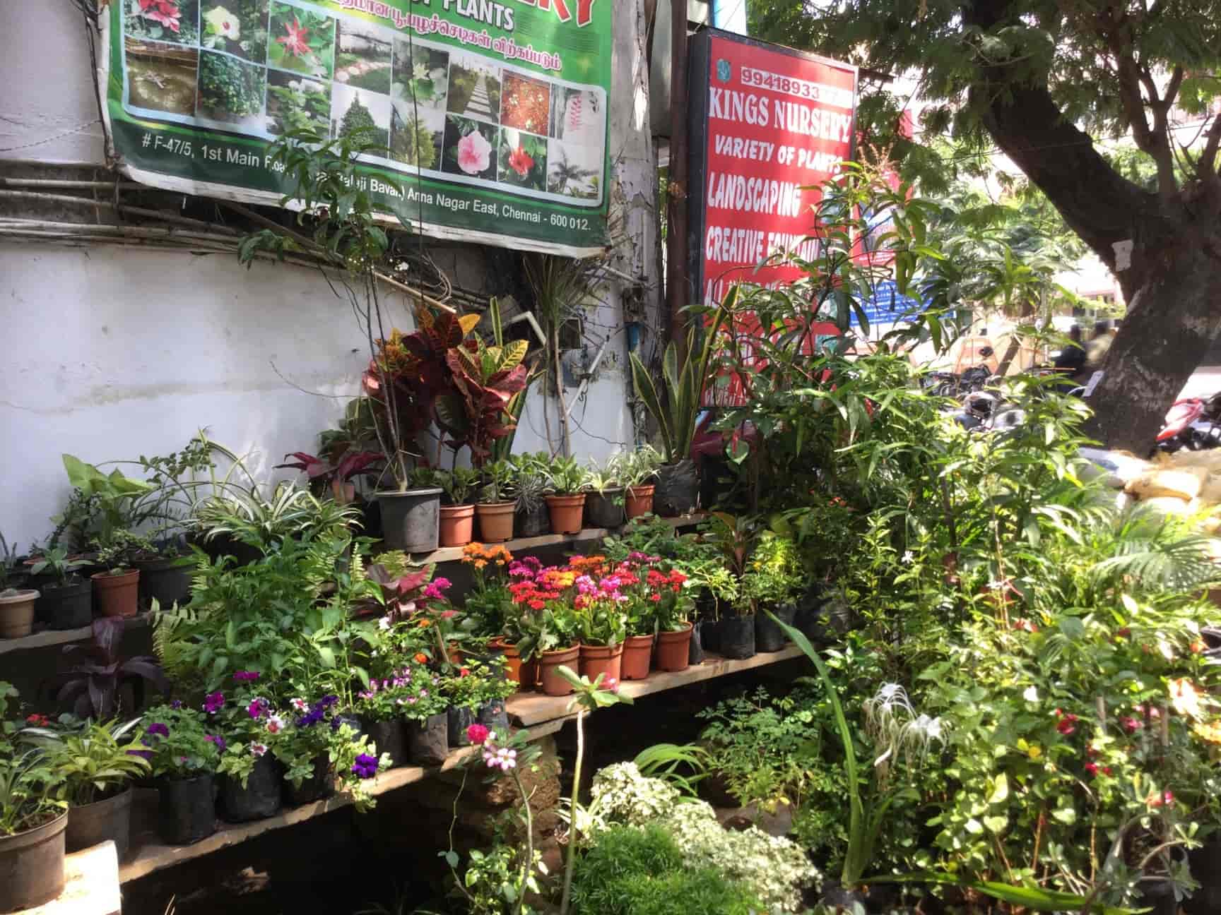 Kings Nursery Closed Down Photos Anna Nagar East Chennai Kings Nursery Closed Down Photos Anna Nagar East Chennai Garden Maintenance