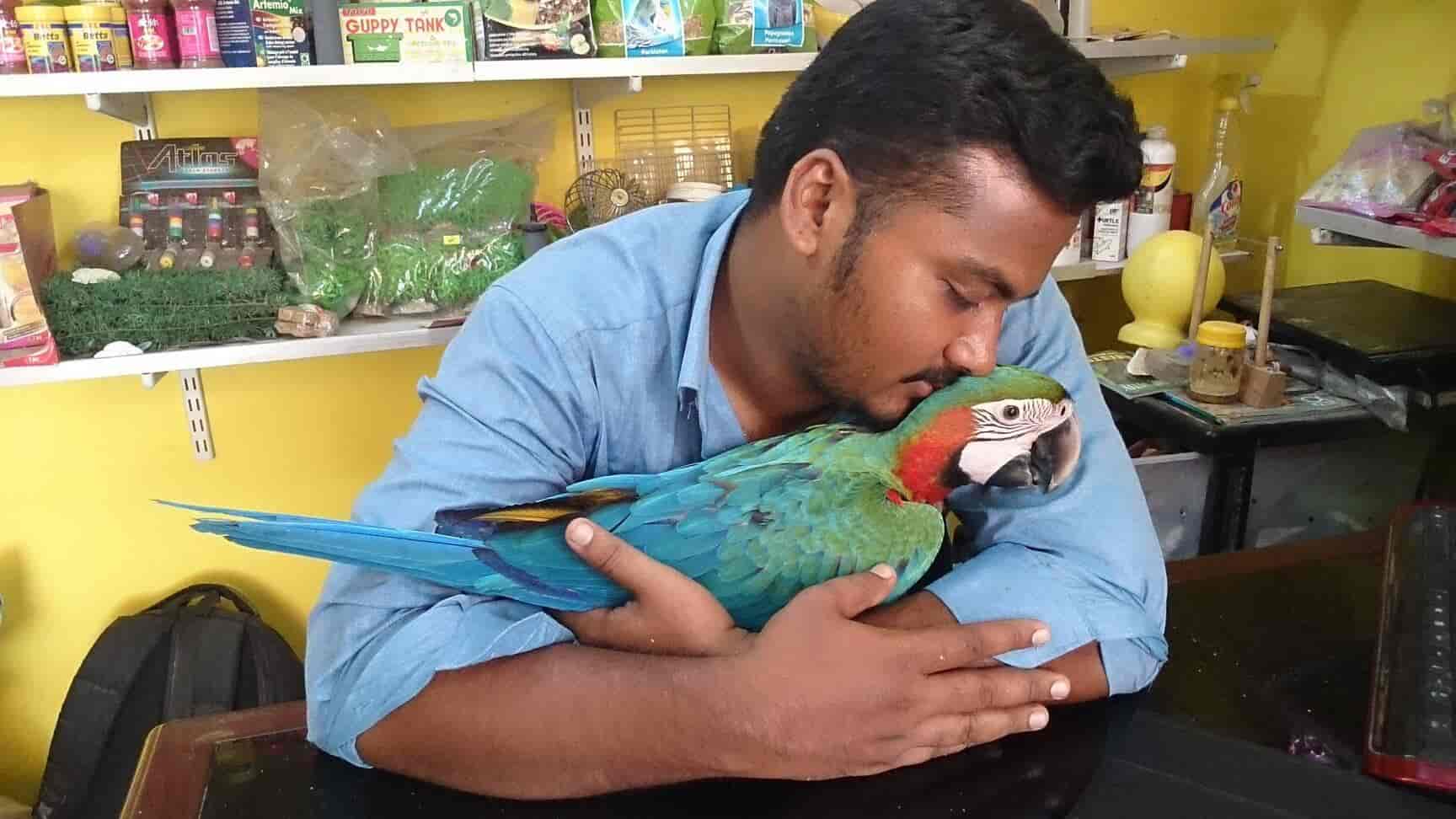 rescue dogs for seniors