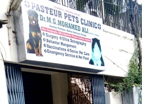 pasteur pet clinic