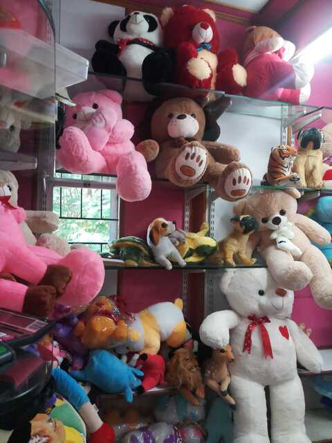 teddy bear in pondy bazaar