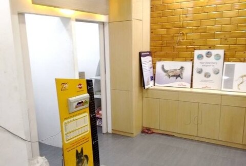 pasteur pet clinic