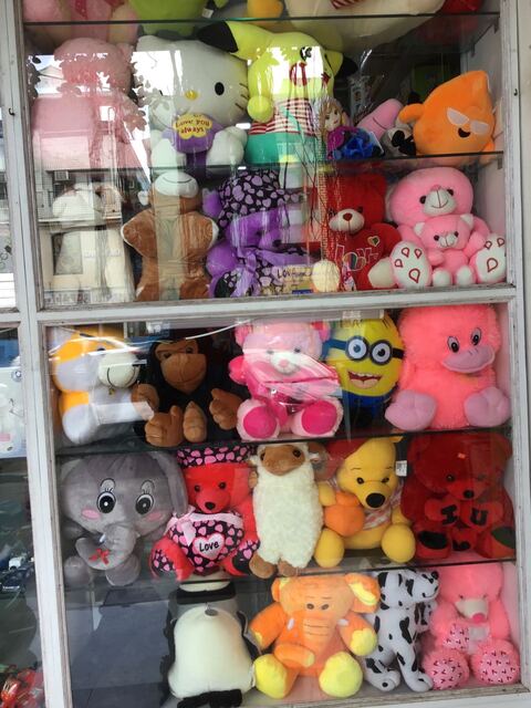teddy bear in pondy bazaar