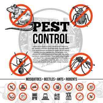 Happy Home Pest Control Service Avadi Pest Control Services In Chennai Justdial