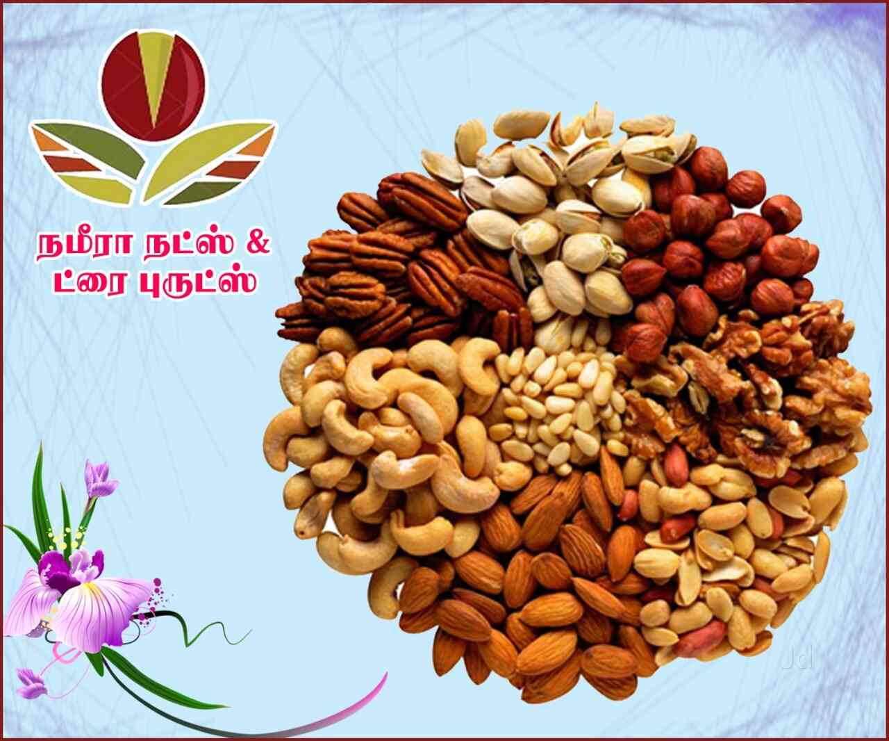 Dry Fruits Names In Telugu