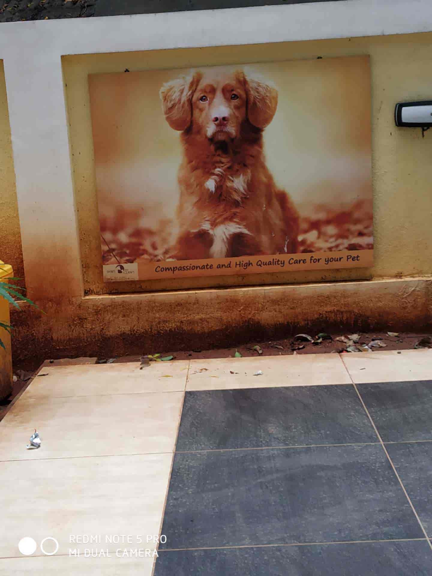 thanigai pet care hospital