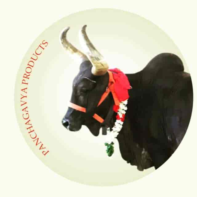 Aavyukth Panchagavya Therapy And Products Adambakkam Cow Suppliers In Chennai Justdial Here panchagavya denotes five different components of cow products. aavyukth panchagavya therapy and