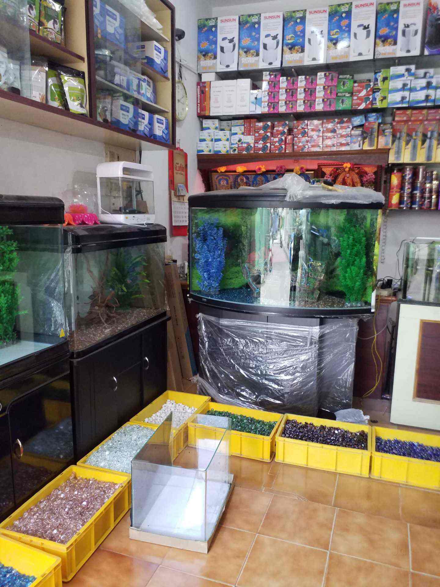 kolathur pet shop