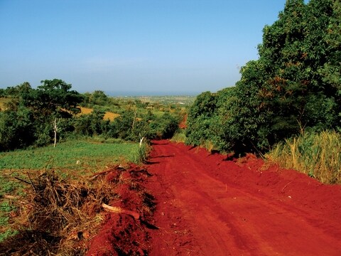 Safaa Redsoil Garden Koyambedu Red Soil Dealers In Chennai Justdial