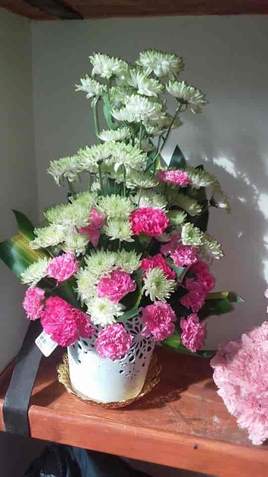 Icehouse Flowers Review Best Flower Site