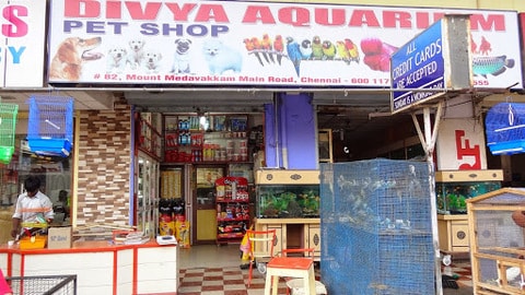divya pet shop
