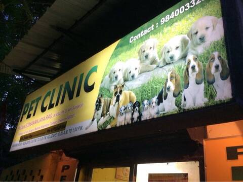 Pet Clinic Near J J Stadium Veterinary Doctors Book