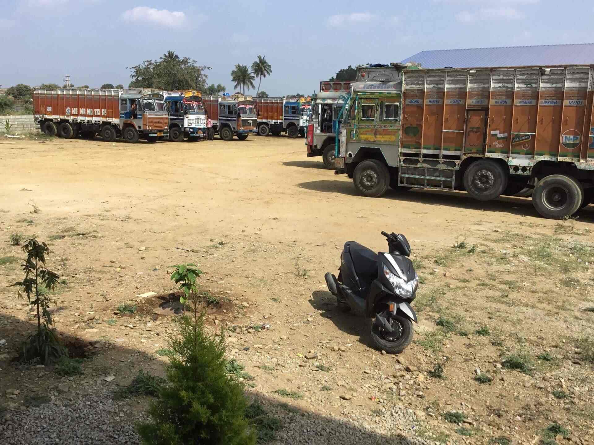 animal transport near me