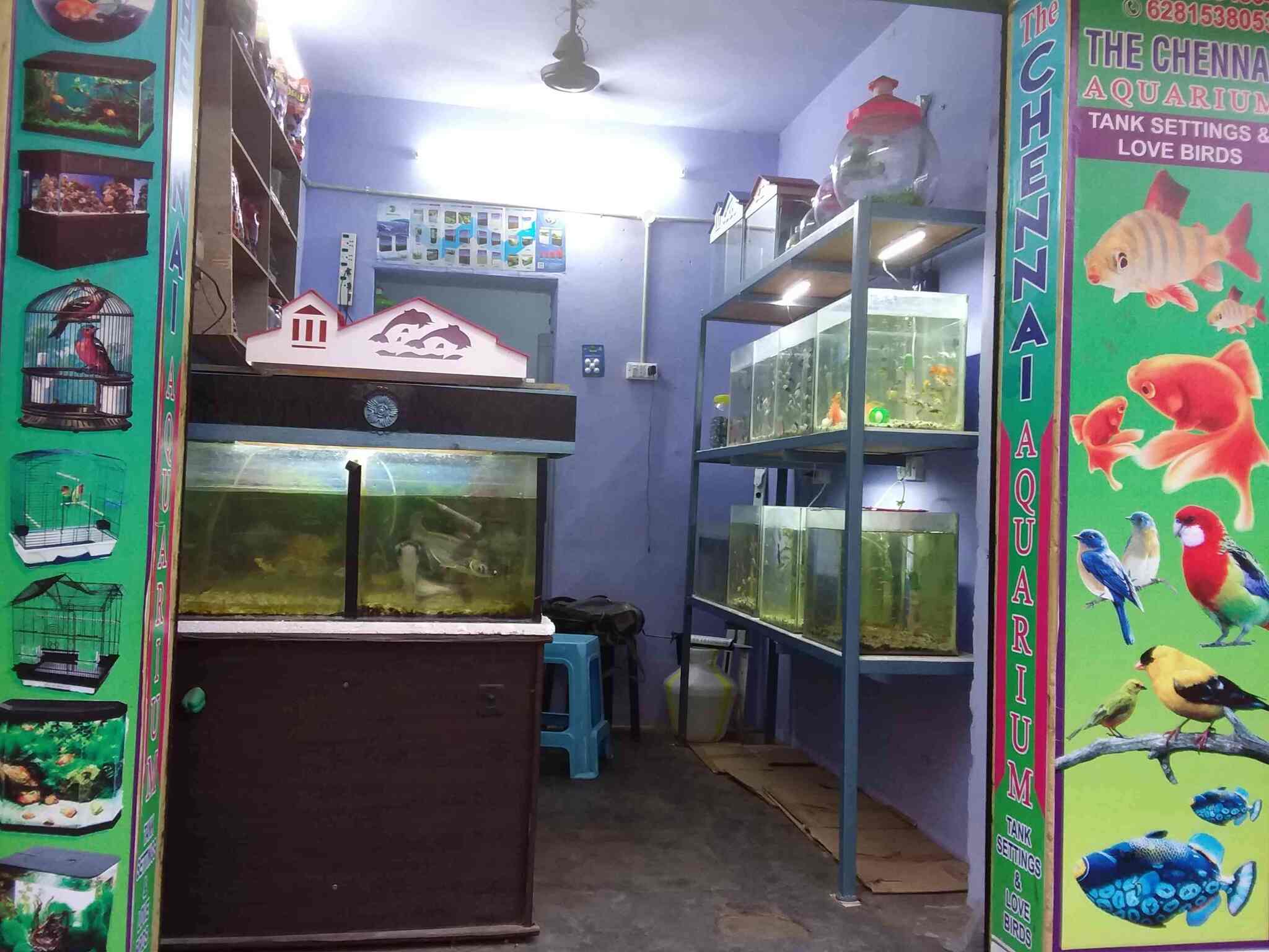 aquarium shop setup