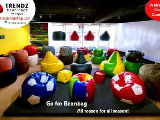 Trendz bean bag sale